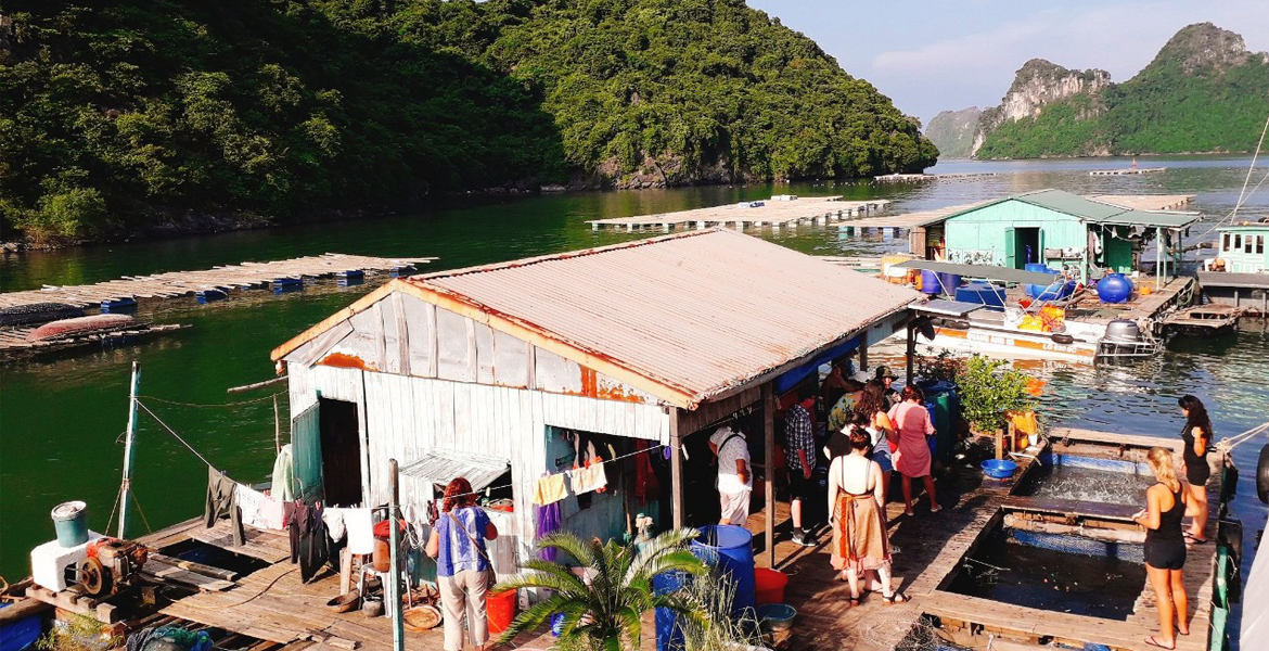 Estella Cruise - Halong Bay, Lan Ha Bay Day Boat